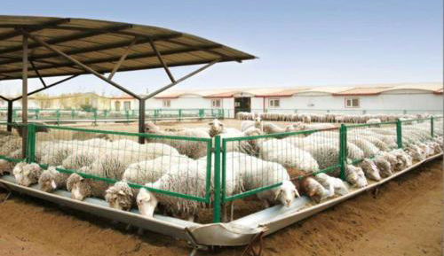 養殖場沼氣發電 養殖場沼氣發電