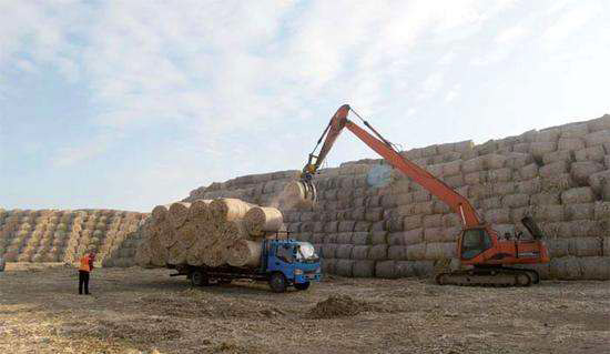 生物質(zhì)沼氣發(fā)電機(jī)組氮氧化物治理 生物質(zhì)沼氣發(fā)電機(jī)組氮氧化物治理