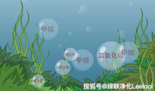 綠聯凈化 綠聯凈化