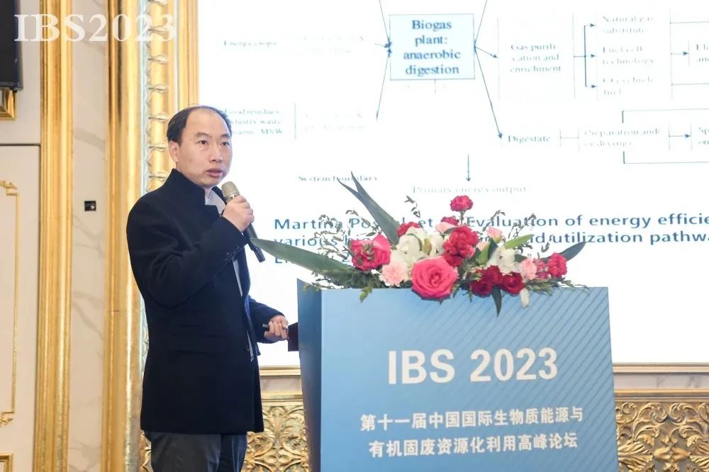 1681522714463315.jpg 19.jpg