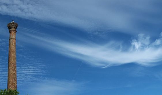 尾氣凈化器 尾氣凈化器