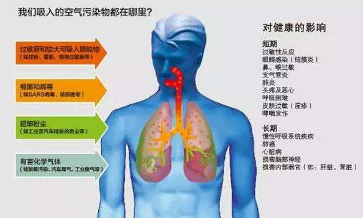 黑煙凈化器 黑煙凈化器